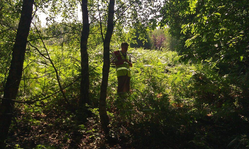 A tree surveyor inspecting a tree on a development site, assessing health and root protection area compliance with BS 5837:2012 guidelines.