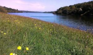 hard landscape design